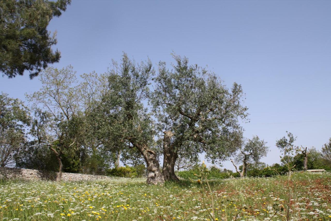 L'eremo Alberobello Exterior foto